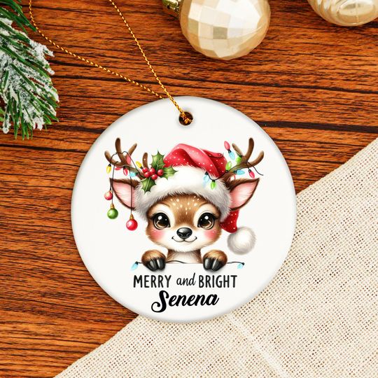 Discover Personalized Christmas Decorative Ornaments,Cute Animal Collection  with Bear, Hippo,Cat,Otter & More Elements,Round Glass Ceramic Ornament