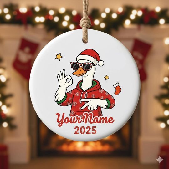 Discover Custom 67 Meme Ornament, Personalized Funny Gen Z Slang Xmas Decor, Cartoon Goose Santa Hat Design, Ceramic Christmas Gift for Teens, 1 Side