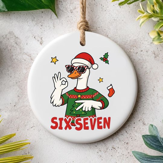 Discover Funny 67 Meme Goose Christmas Ornament, Gen Z Slang Decoration, Trending 2025 Holiday, Viral Teen Xmas Stocking Stuffer One Side