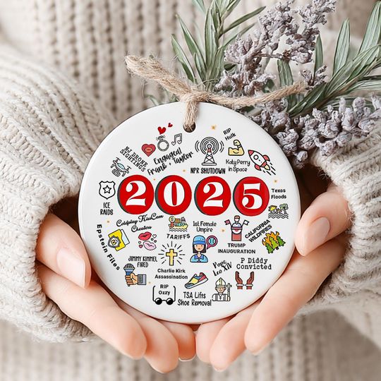 Discover 2025 Year in Review Christmas Ornament, Funny Political Christmas Tree Decor, Major Notable Events Remember Gifts, Printed One Side