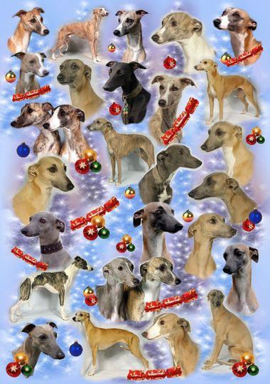 Discover Whippet Dog Christmas Gift Wrapping Paper.