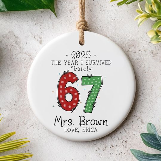 Discover Funny Christmas Ornament, Personalized Teacher Gift, Survived 67 Days, Custom Holiday Keepsake, Printed One Side