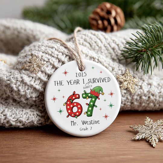 Discover The Year I Barely Survived 67 Ornament, Custom Teacher Christmas Ornament, Personalized School Keepsake, Printed One Side