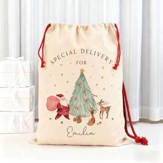 Discover Special Delivery Christmas Eve Box, Custom Name Christmas Sack, Personalised Santa Sack, Baby's First Christmas Gift, Christmas Present Sack