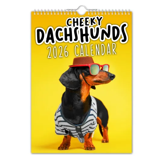 Discover 2026 Wall Calendar - Cheeky Dachshunds Pet Dog Pooches Vertical Wall Calendar