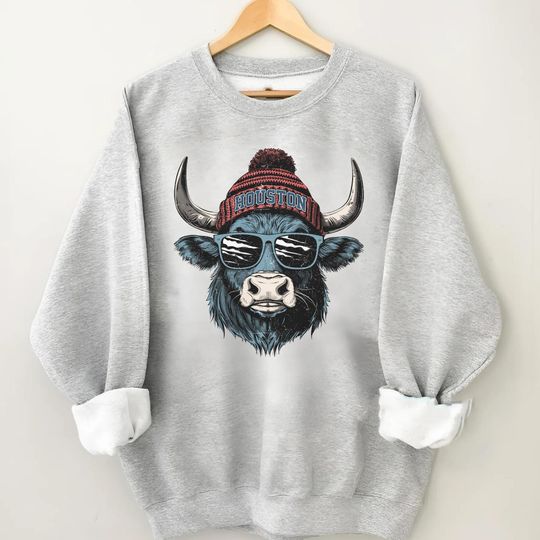 Vintage Houston Texans Football Team Sweatshirt, Sunday Football Sweatshirt, Gift for Football Fan