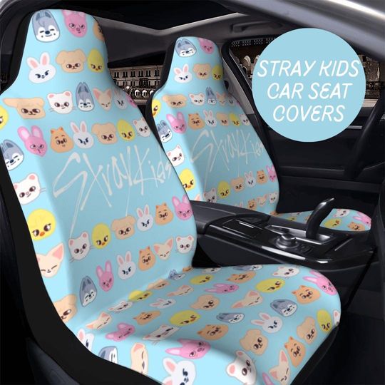 Discover Pre Order | Stray Kids Car Seat Covers
