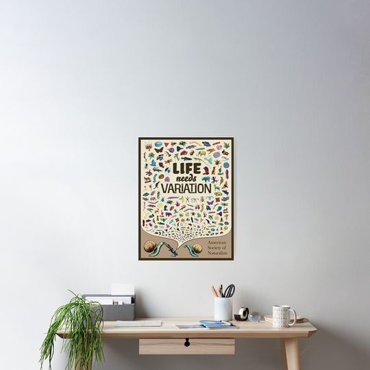 Discover Life Needs Variation (English; Light) Poster
