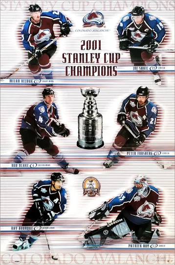 Discover Colorado Avalanche 2001 Stanley Cup Champions Vintage Poster