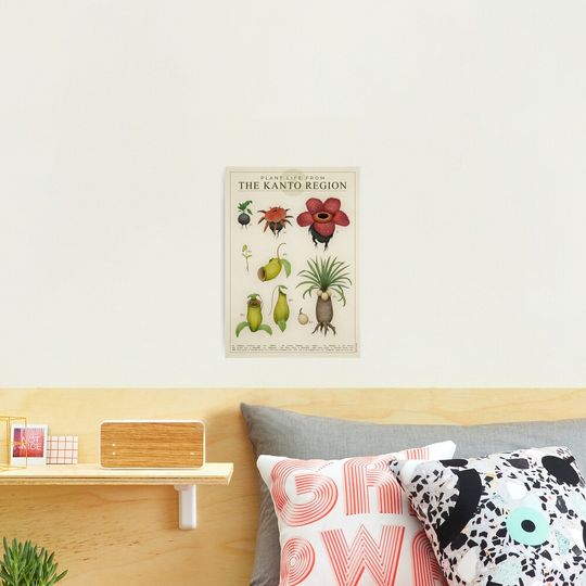 Discover Plant life from Kanto Photographic Print