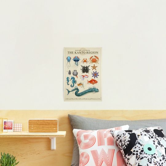 Discover Marine Life from Kanto Photographic Print