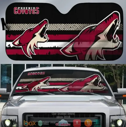 Discover American FootBall Team Car  Sunshade Amazing Best Gift, Car UV Protector Gift