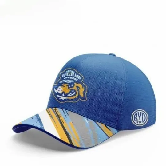 Discover Roanoke Rail Yard Dawgs Blue & Camo 2025  Classic Cap