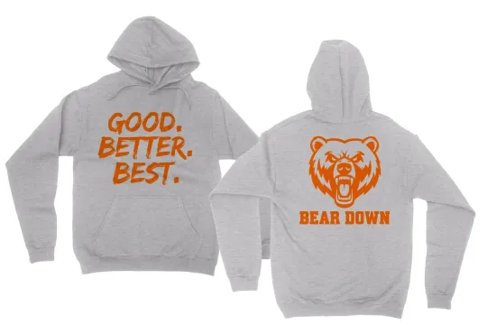 Discover Chicago-Inspired Bear Tribute Unisex Double Sided Hoodie