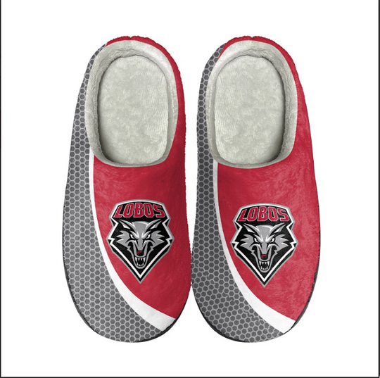 New Mexico Lobos 2022 Big Logo Color Edge Slippers, Gift for Fan