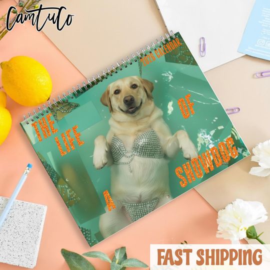 Discover The Life of a Show Dog 2026 Calendar, Funny Dog Show Calendar, Cute Show Dog Moments
