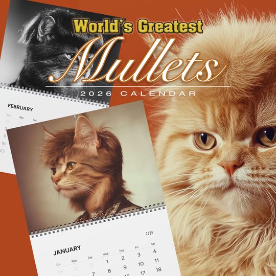 Discover Funny 2026 Wall Calendar, Cat with Mullets, White Elephant Gift for adults, 2026 Monthly Calendar, Gag Gift Co workers, Christmas Humor gift