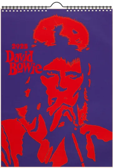 Discover 2026 Wall Calendar (12pg) DAVID BOWIE Vintage Music Posters 1007