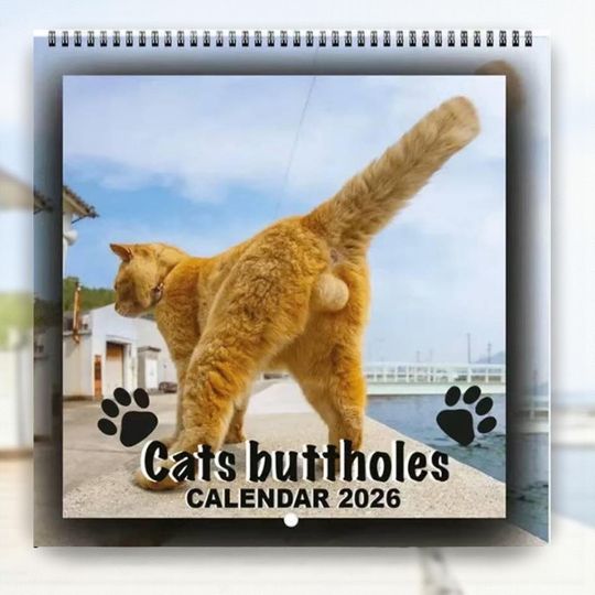 Discover Funny Cat Butt Calendar 2026 - Gag Gift for Cat Lovers