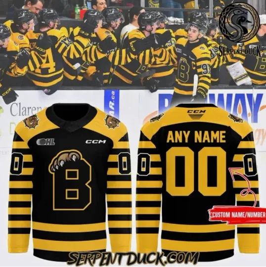 Discover Personalized Brantford Limited Edition 2025 Hockey Jersey Gift For Christmas