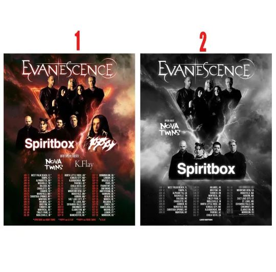 Custom Evanescence World Tour 2026 North American Poster