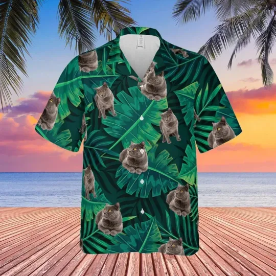 Discover Funny Cat Beach Hawaiian Button Down Shirt