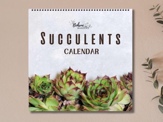 Discover 2026 Succulent Calendar  Botanical Desert Plant Photography