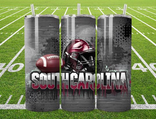 Discover South Carolina Tumbler Wrap PNG, Sport 20oz Tumbler PNG, Mascot Sublimation Tumbler PNG Digital Download, Instant Download