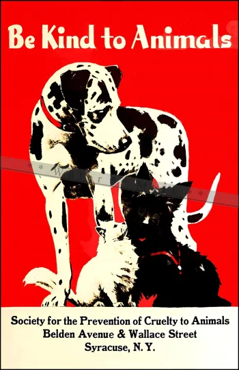 Discover Be Kind To Animals 1935 Syracuse NY SPCA Vintage Poster Print Retro Style Art