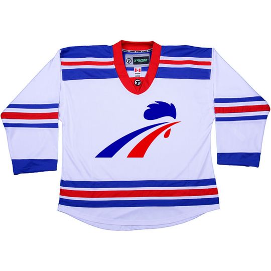 Discover Custom Team France Graphic on Hockey Jersey customized Name & Number (also kids sizes)