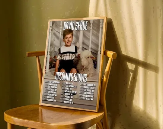 Discover David Spade Upcoming Tour 2026 Poster