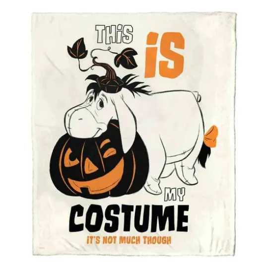 Discover Disney Winnie The Pooh Simple Disneyland Christmas Holiday Fleece Blanket