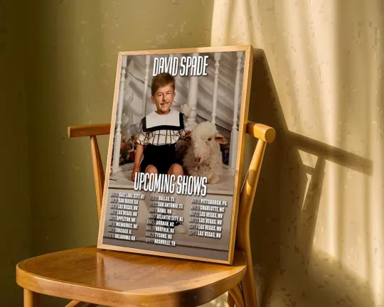 Discover David Spade 2026 Tour Poster