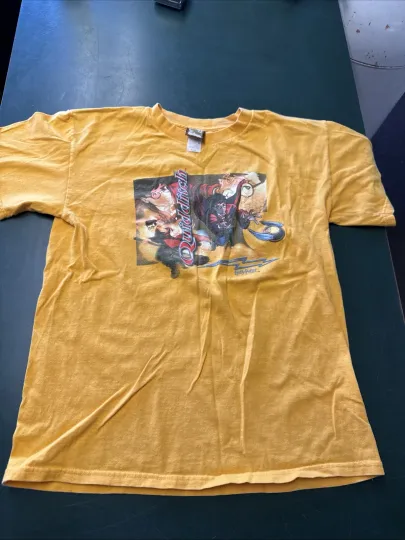 Vintage 2001 Harry Potter Movie Quidditch Official Graphic T-Shirt Size XL