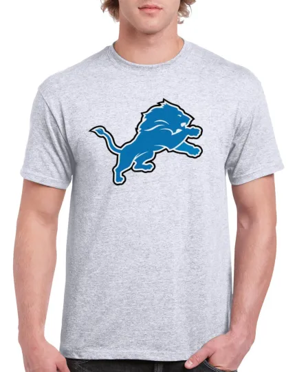 Discover Detroit Lions T-Shirt Football