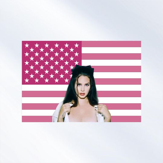 Lana Del Rey Pink American Flag Tapestry | Retro Pop Music Wall Art | Vintage Room Decor