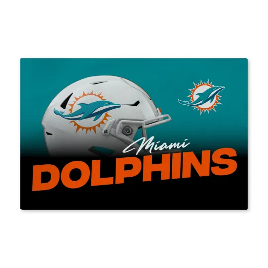 Northwest football Miami Dolphins Headspace Washable Area Floor Rug
