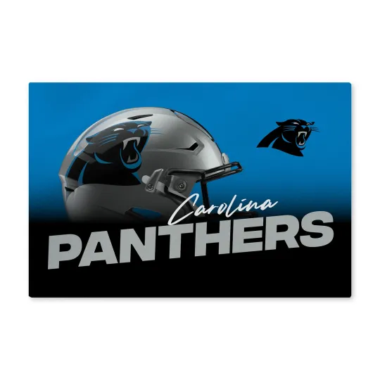 Northwest football Carolina Panthers Headspace Washable Area Floor Rug