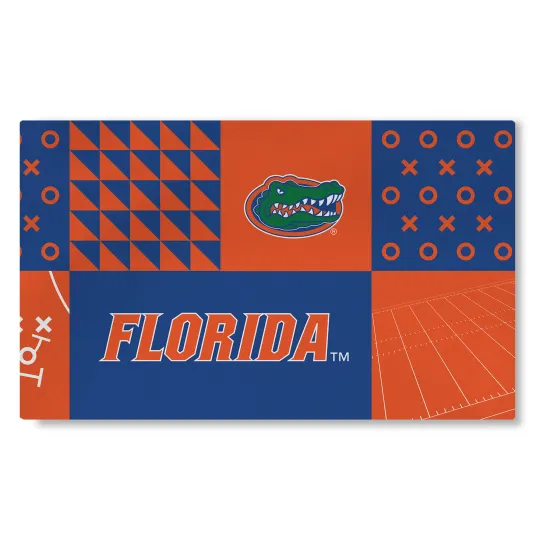 Northwest NCAA Florida Gators Colorblock Washable Area Living Rug