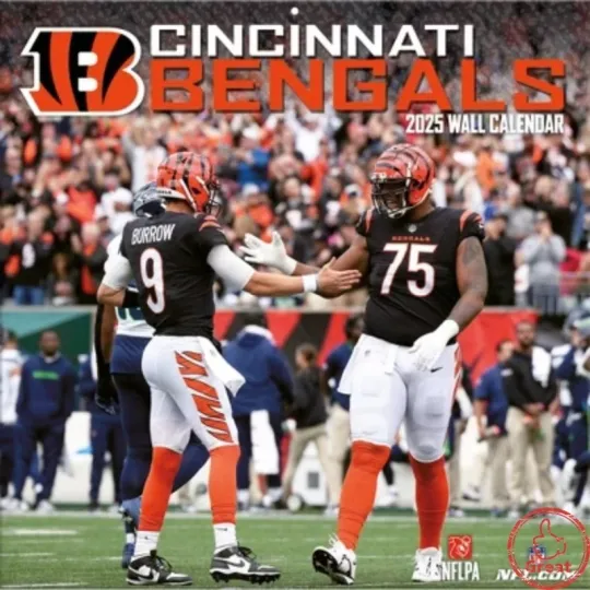 Discover football Cincinnati 2026 Team Wall Calendar
