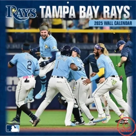 Discover Tampa Bay Baseball 2026 Team Wall Calendar