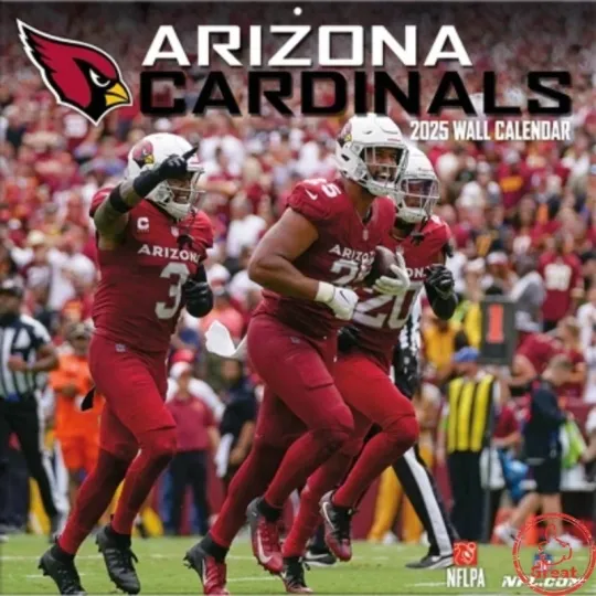 Discover football Arizonna 2026  Team Wall Calendar