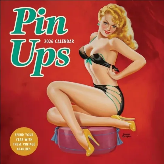 Discover Pin Postal Service 2026 12 Month Wall Calendar