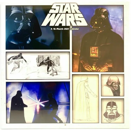 Discover Star Wars Darth Vader  2021  Wall Calendar New in Shrink Wrap