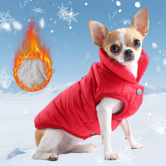 Discover Winter Warm Dog Clothes Large Small Medium Dogs Cute Pet Costume Soft Puppy Outfits Windproof Outdoor Pets Coat Chihuahua Jacket