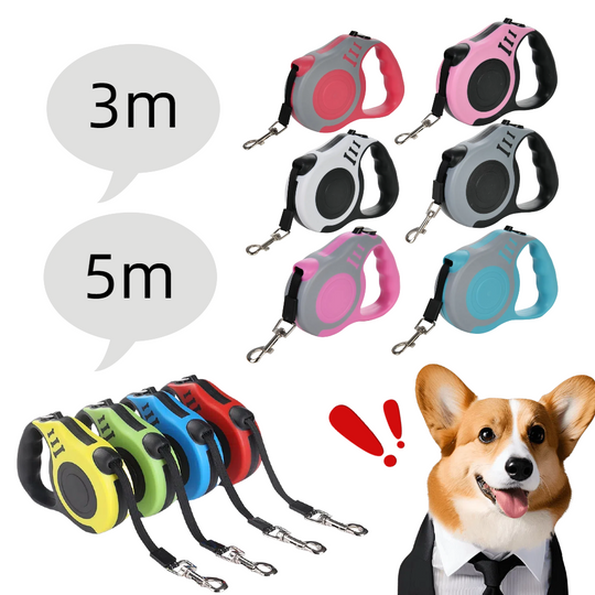 Discover 5/3M Nylon Dog Leash Small Medium Large Dogs Cats Automatic Retractable Strong Lead Extend Pet Traction Rope Chihuahua Supplies