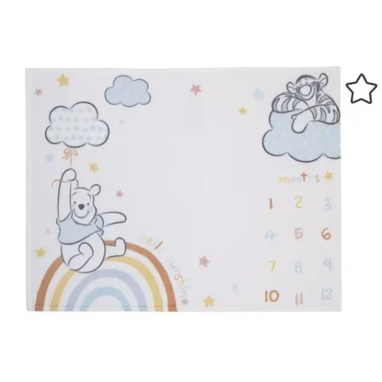 Discover Disney Winnie The Pooh Rainbow Disneyland Fleece Blanket