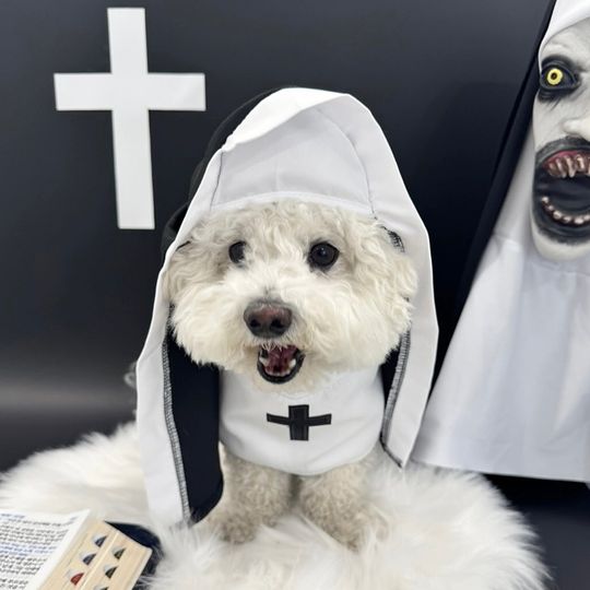 Discover Halloween Dog Clothes for Small Medium Large Dogs Cat Funny Dress Up Cosplay Nun Costumes Jesus Cross Puppy Pug Pet Cute Outfits