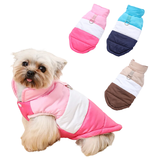 Discover Winter Dog Clothes for Small Medium Dogs Warm Pet Jacket With D-Ring Windproof Waterproof Puppy Coat Chihuahua Yorkshire Outfits