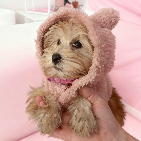 Discover Soft Dog Hoodies For Winter Fleece Warm Pet Hoodies For Small Medium Dogs Cats Rabbit Ear Funny Pets Costume Cute Yorkshire Coat